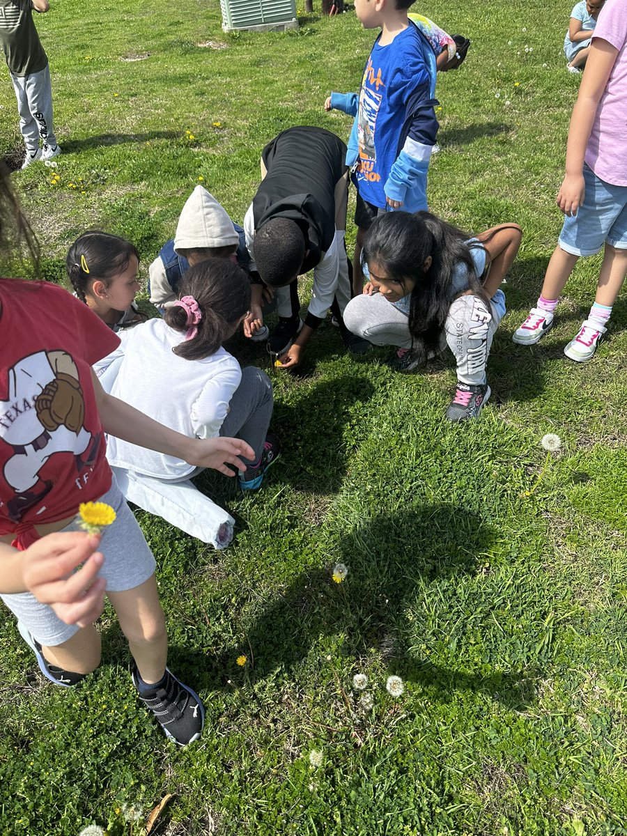 Ms. Troutman tweet media