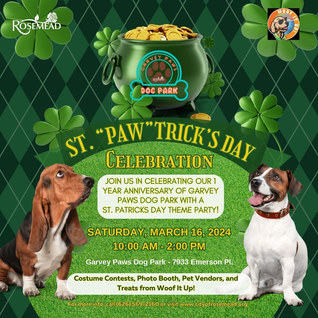 HOUND DOG/HOUND DOG 35th ANNIVERSARY「OU… Basset Hound Puppy Tri