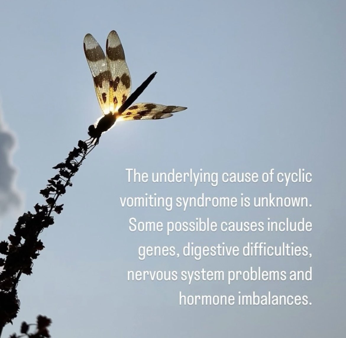 HeyyCati's tweet photo. March 5th is Cyclic Vomiting Syndrome awareness day. I’m sending love and light to all my fellow warriors that I’ve come to adore over the years.  #cvsawareness https://t.co/SxowBJgtr4