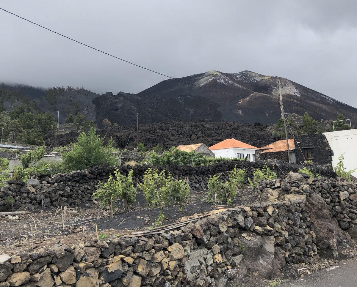 Ben Ireland (@benirevolc.bsky.social) (@bensvolcanology) on Twitter photo Many updates in the recovery following the 2021 (now officially named) Tajogaite eruption on La Palma since the start of the year, which we are documenting for <a href="/GeoTenerife/">GeoTenerife</a>'s #VolcanoStories project.
Here's a summary of the February 2024 update: geotenerife.com/la-palma-recon…🧵1/5 Many updates in the recovery following the 2021 (now officially named) Tajogaite eruption on La Palma since the start of the year, which we are documenting for <a href="/GeoTenerife/">GeoTenerife</a>'s #VolcanoStories project.
Here's a summary of the February 2024 update: geotenerife.com/la-palma-recon…🧵1/5