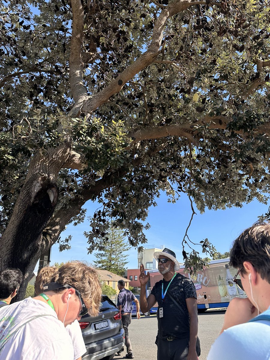 We just learned that this tree comes from South Africa! We tag YOU in the @sims1229 #MVInterim24 challenge: @GeorgiaBickel @SheldonStaples your turn to find a connection to another interim trip! #MVInterim1Australia24