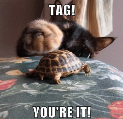 Victorian_ST's tweet photo. Artisan Handmade Gifts - Tuesday Tag - March 5, 2024 | Shadow Dog Designs https://t.co/F2bXp8BcO5 via @ShadowDogDesign #cctag #TuesdayTag #artisanhandmadegifts #TuesdayBlog https://t.co/Vr6ay1tWHg