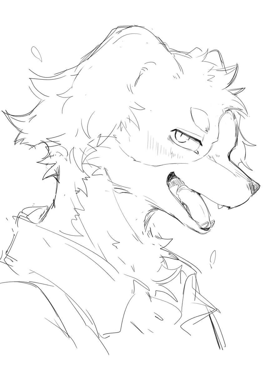 四々十万🌶️からし (@sisijimakarashi) on Twitter photo 