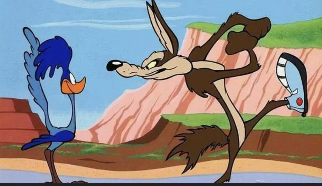 la gente dice que hay que esperar a la indicada,  la verdad esperando soy este esperando a poder atrapar al correcaminos algún día