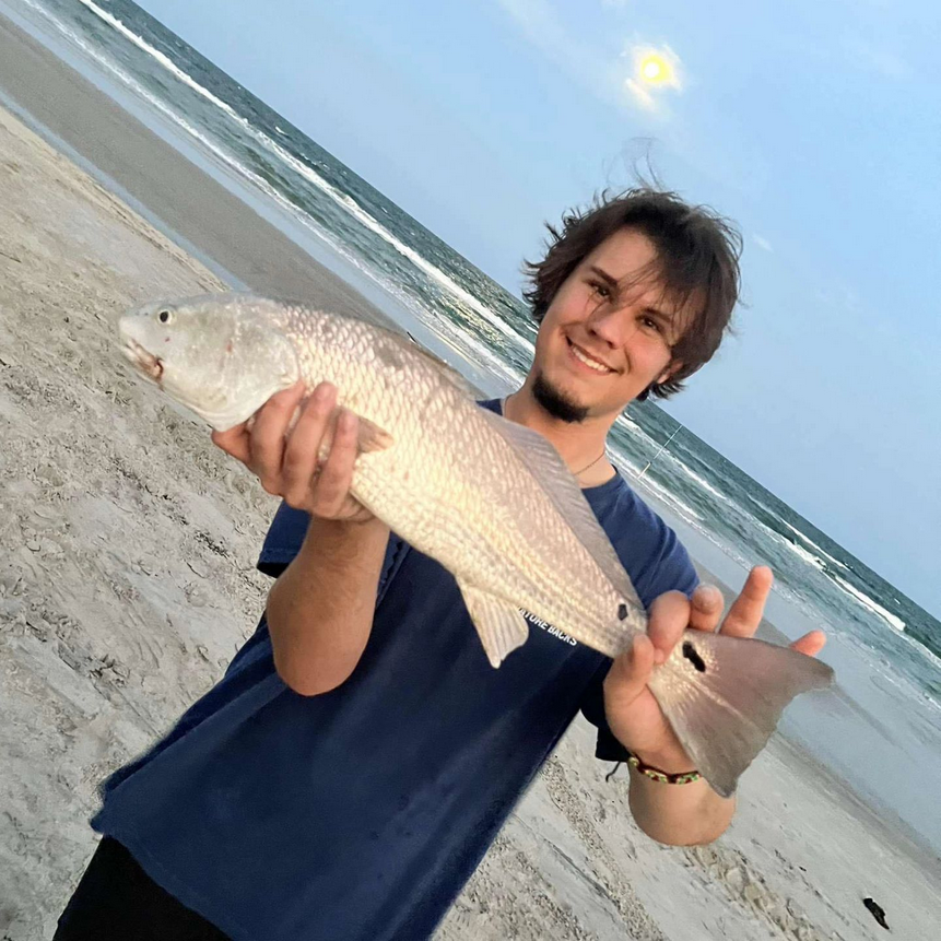 IslandCampus's tweet photo. TAMU-CC has been made aware of a missing person’s report regarding one of our students, Caleb Harris. We ask our university community and the public to keep Caleb and his family in your thoughts. TAMU-CC remains hopeful for Caleb’s safe return.
Read more: https://t.co/NGyyluNW7r https://t.co/ljoQ0UeH4K