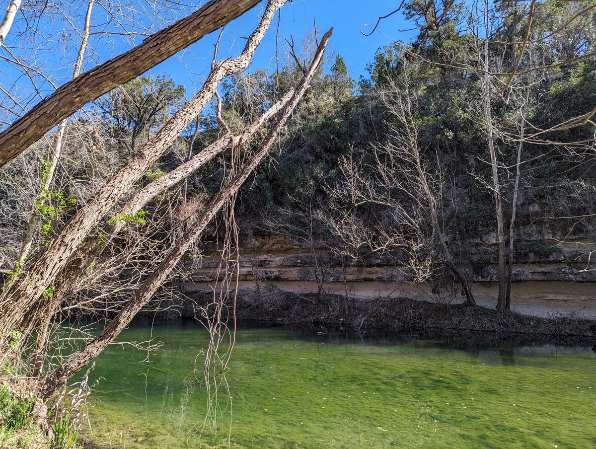 Nature In #Austin can be quite beautiful in the Spring! #Texas #Travel #Nature