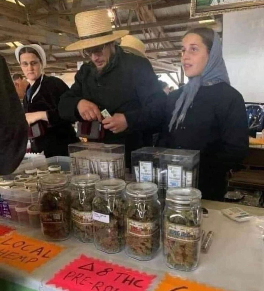 WeedPorns's tweet image. The Amish may not have cars but they got that gas