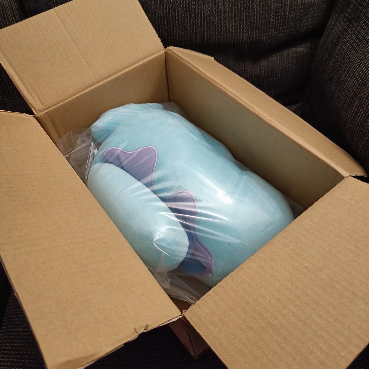 Chiko_Charm's tweet image. Another Quag boii added to the collection!💙 
#Pokemon #PokemonPlush #Banpresto #Quagsire #QuagsirePlush