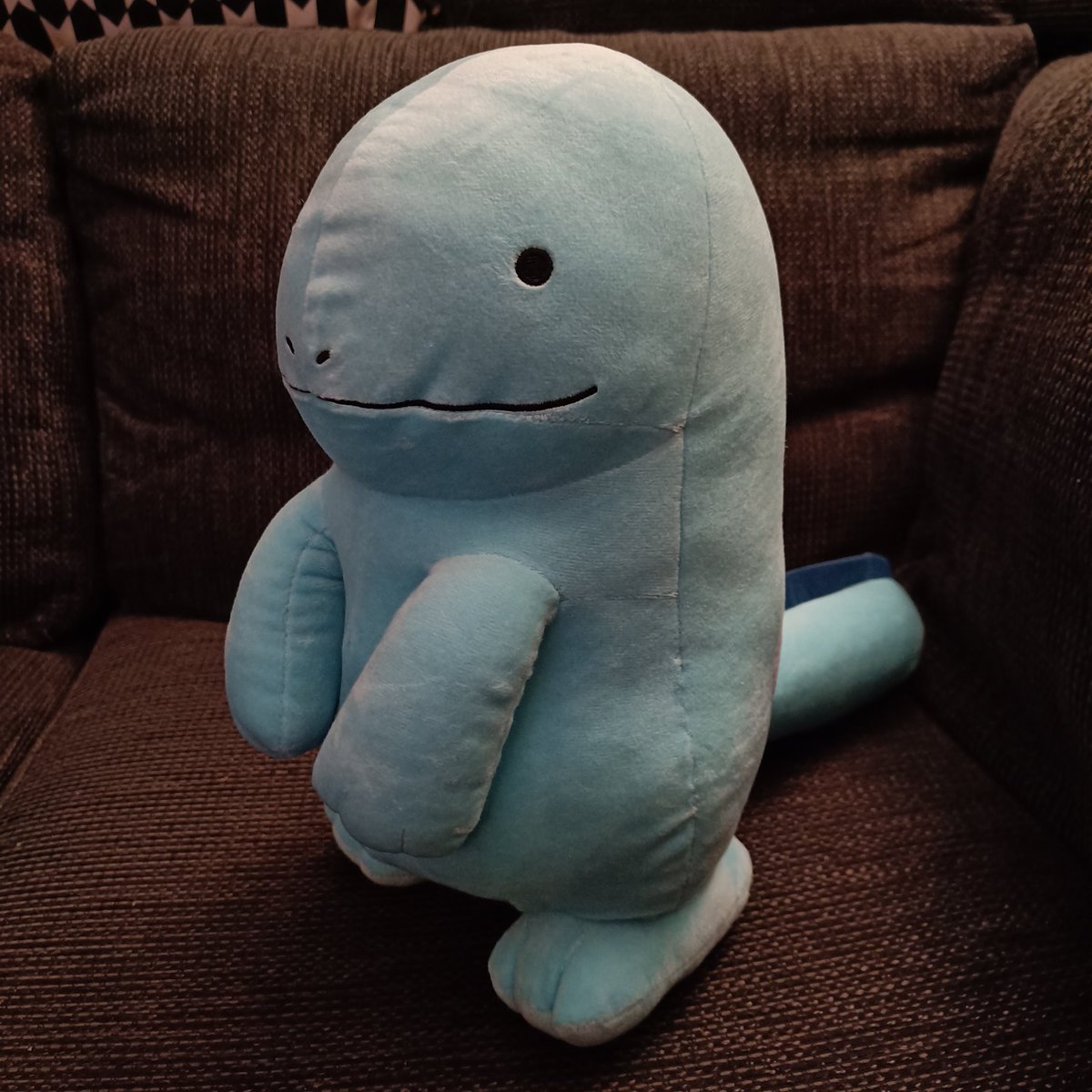 Chiko_Charm's tweet image. Another Quag boii added to the collection!💙 
#Pokemon #PokemonPlush #Banpresto #Quagsire #QuagsirePlush
