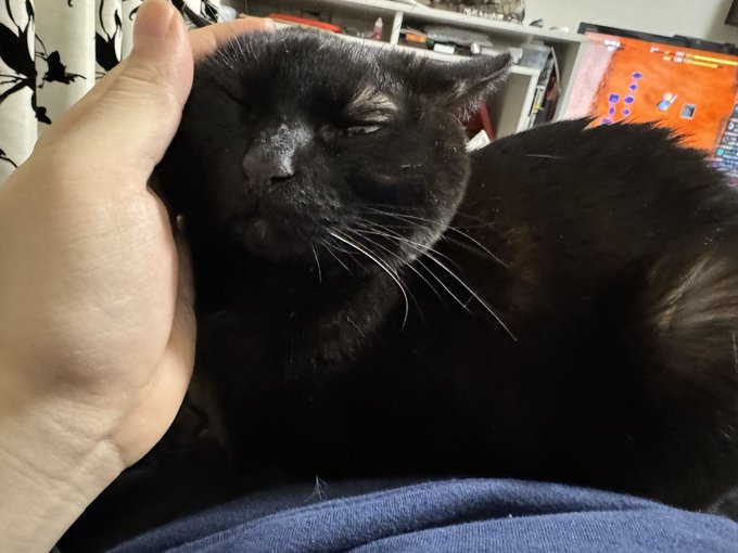 今日は原画作業する 