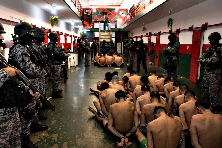 ElCanciller.com tweet media