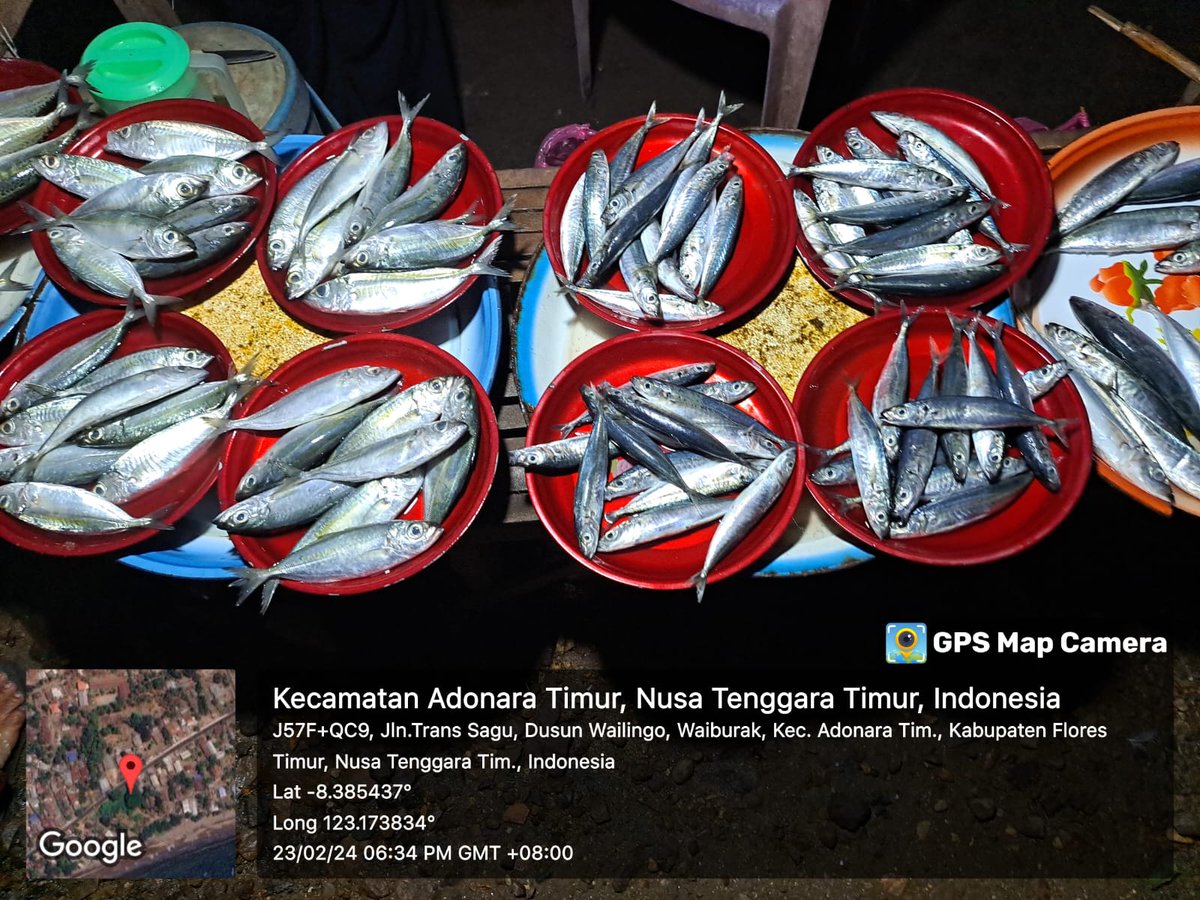 YohMariaVianei's tweet photo. Jumad (23/02), Yoh Maria  Vianei Keni Bolen, Luhkan Flores Timur, di Pemasar Ikan An. Anisa Saban, asal Desa Waiburak, Kec. Adonara Timur, mendata produksi ikan layang &amp; ikan kembung, sebanyak 40 kg, harga Rp. 15.000-30.000/Kg
#GiatLuhkanSatminkalGondol 
#Flotim #produksi https://t.co/yju8gPwcPe