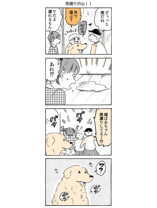 雨の日☔️おはワンです!

#姫ばあちゃんとナイト 