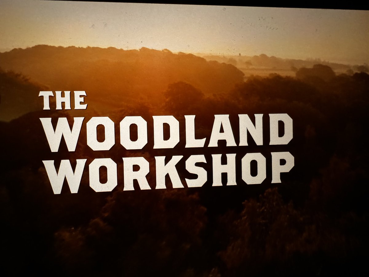 What a marvellous treat! Thank you <a href="/TashaRunsTings/">Tasha Thompson</a> and the woodland workshop.  This will always be treasured!