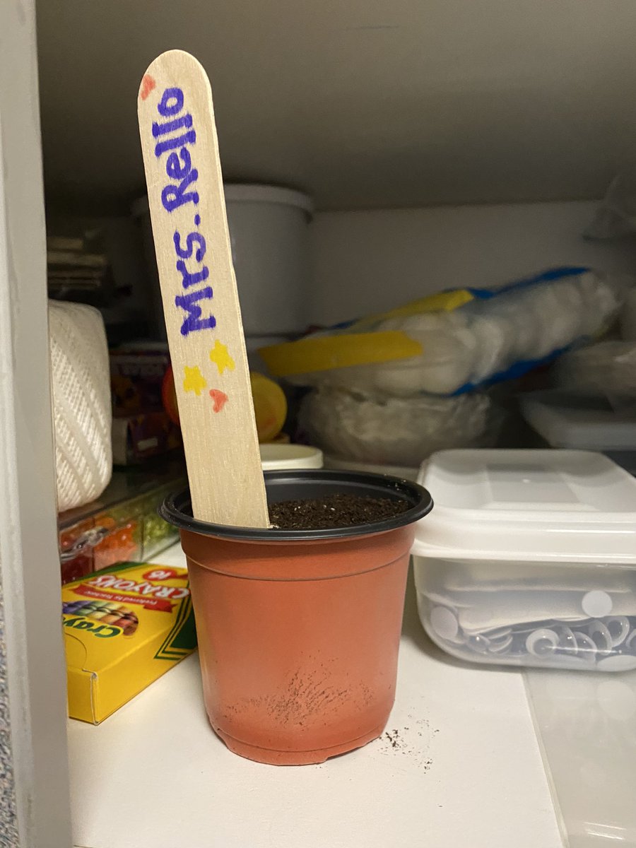 Planting seeds in kindergarten to see what plants need to grow!