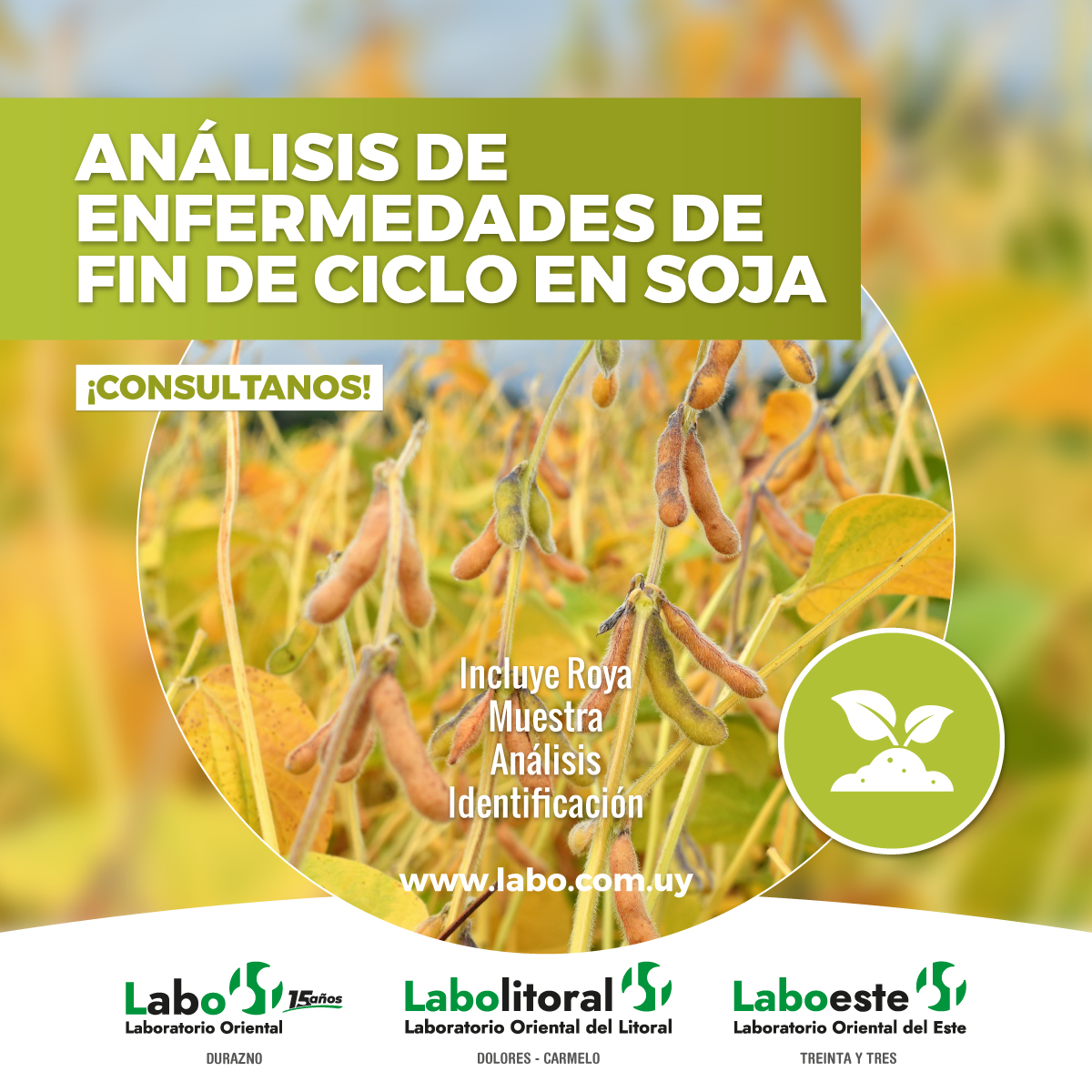 📷 Análisis de enfermedades de fin de ciclo de Soja.

| Incluye Roya |

¡Consultános!

CONSULTAS GENERALES
+598 97 730 755 (llamada o whatsapp)