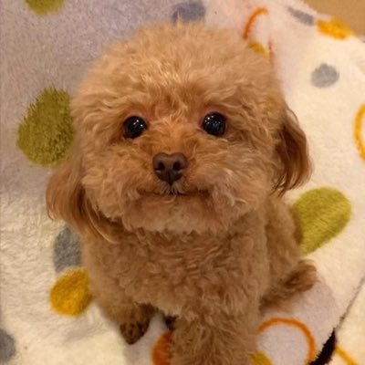 cowboyzelink's tweet photo. #NewProfilePic https://t.co/EclAxjMJtz