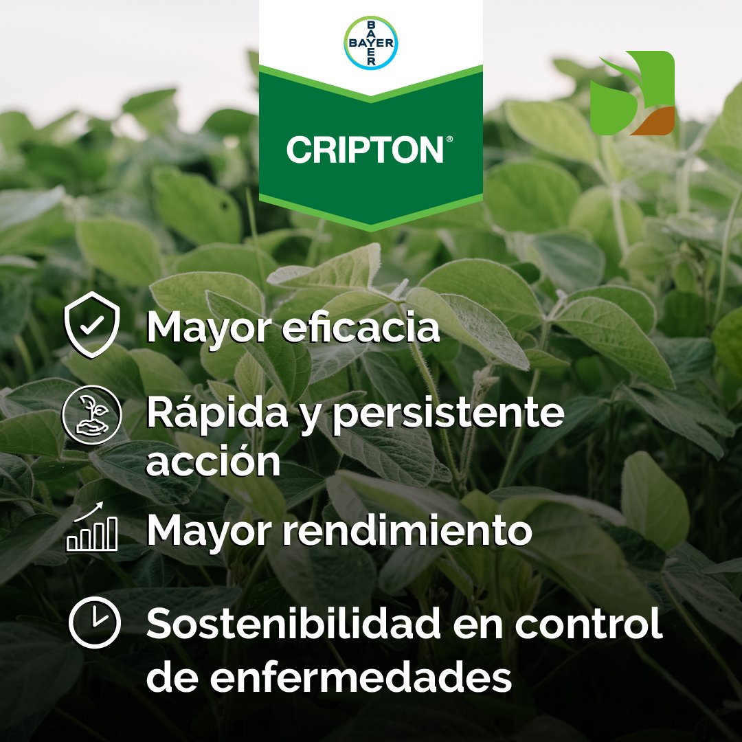 monchoehijos's tweet photo. #Cripton , el #Fungicida que más te conviene 🙌🏻
Obtené la más robusta protección frente a las principales enfermedades⛔🍄, cuidá tu cultivo y también el ambiente porque es #BandaVerde💪🏻✅
Somos tu centro #InnoBa @AgroBayerAR 🛡️
¡Consultanos!📲 https://t.co/ucTRojiIIA