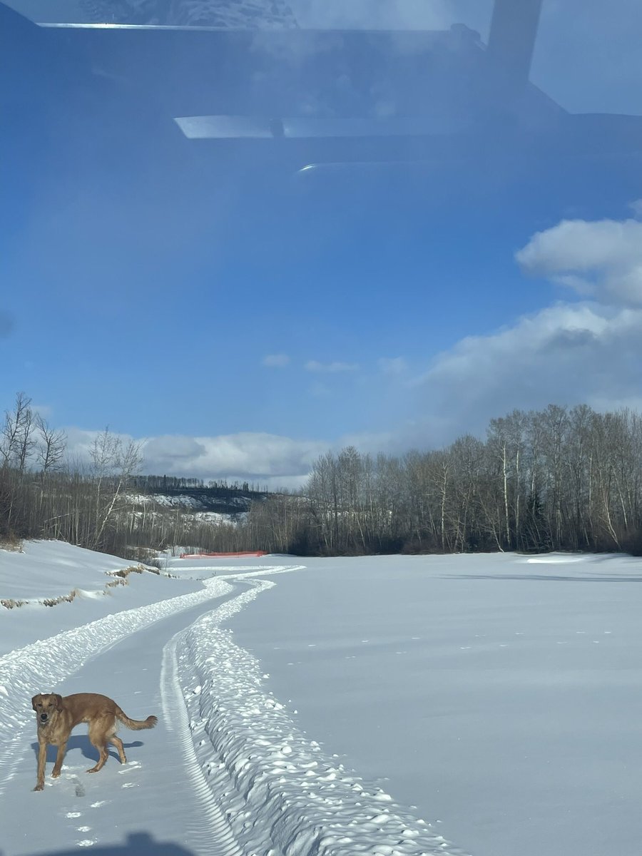 A much welcomed blanket of the white stuff <a href="/FMGolfClub/">Fort McMurray Golf Club</a> we need it.