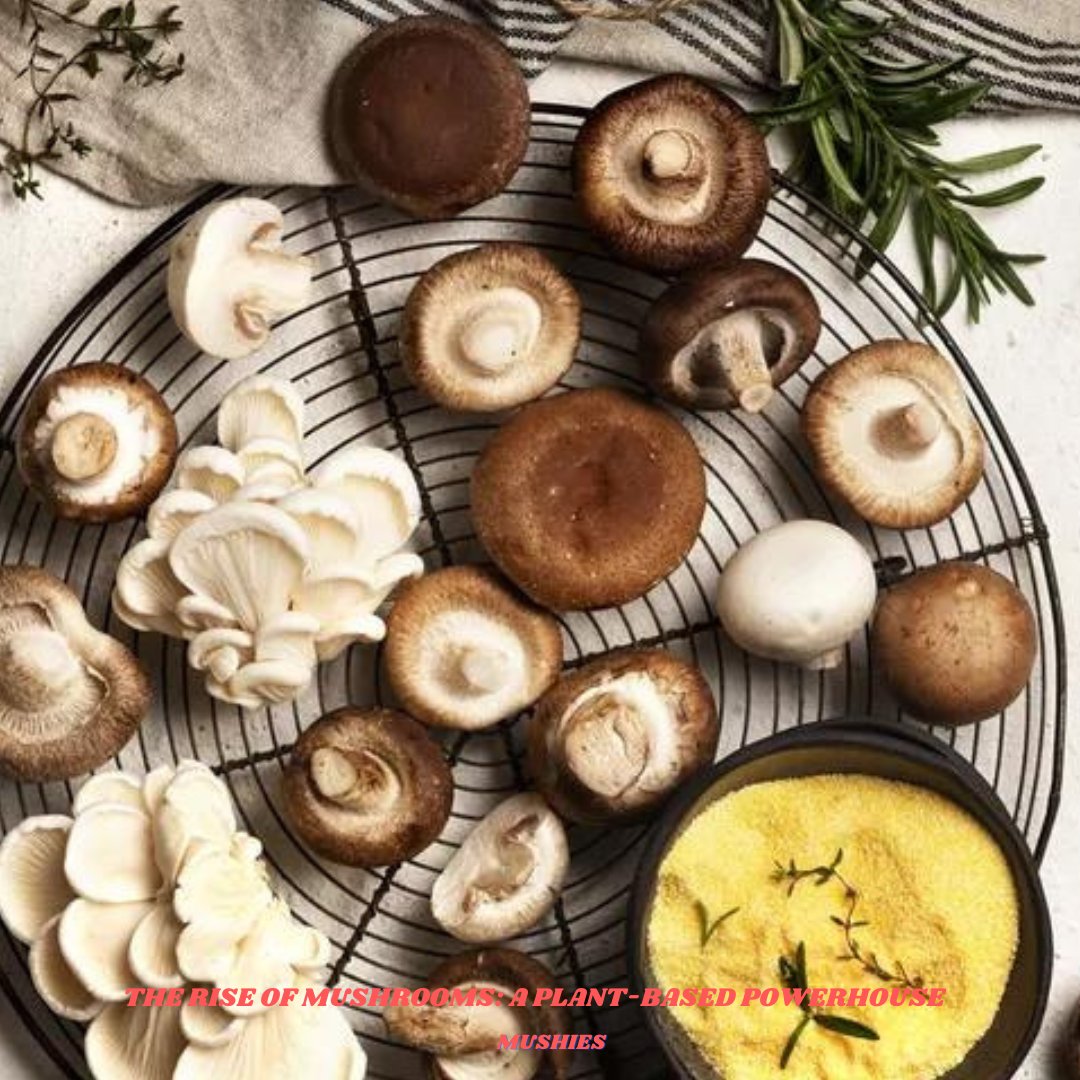 Mushrooms are the rising stars of plant-based diets, offering both flavor and nutrition. From immune support to gut health, functional mushrooms like chaga and lion's mane are driving a global market surge. 🌿🍄 #PlantBasedPower #FunctionalFungi #GlobalMarket