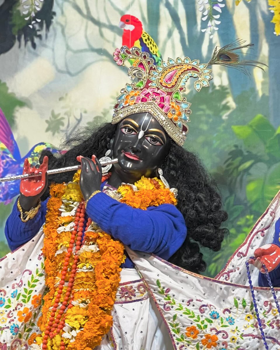 iskconchd's tweet photo. 6 March 2024 - श्री श्री राधा माधव मंगल आरती दर्शन🥰
🙌
हरे कृष्ण हरे कृष्ण कृष्ण कृष्ण हरे हरे।
हरे राम हरे राम राम राम हरे हरे।। 📿✨
#krishna #iskcon #motivation #success #love #innovation #education #future #india #creativity #inspiration #life #quotes #Chandigarh #Devotio https://t.co/EcmjG4sN7G