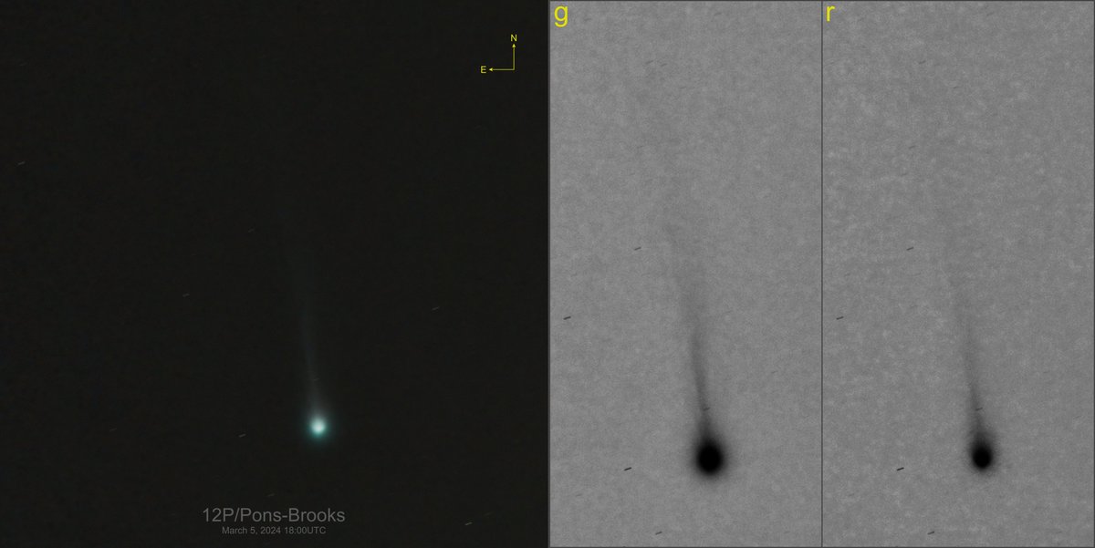 Giuseppe Donatiello tweet media