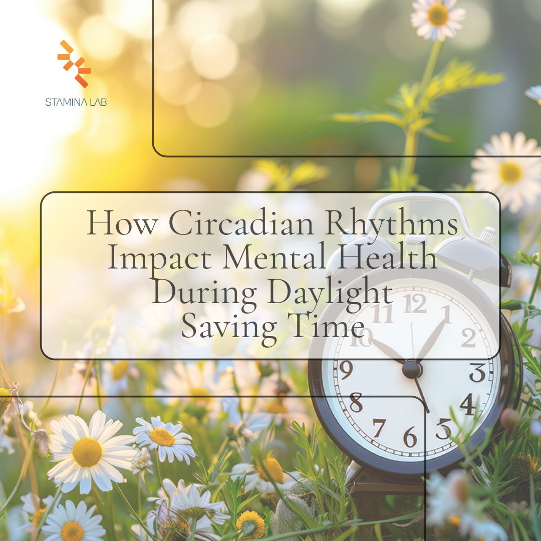 Are you ready for the daylight saving time change? Learn how circadian rhythms impact mental health during daylight saving time and what you can do to minimize the impact. staminalab.io/how-circadian-…