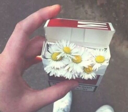 knowbodiii's tweet image. เราไม่ได้มีค่า
เพื่อให้ใครมารัก
แต่เราจะมีค่ายิ่งนัก
หากรู้จักรักตัวเอง
Cr : คำกวี คำคม