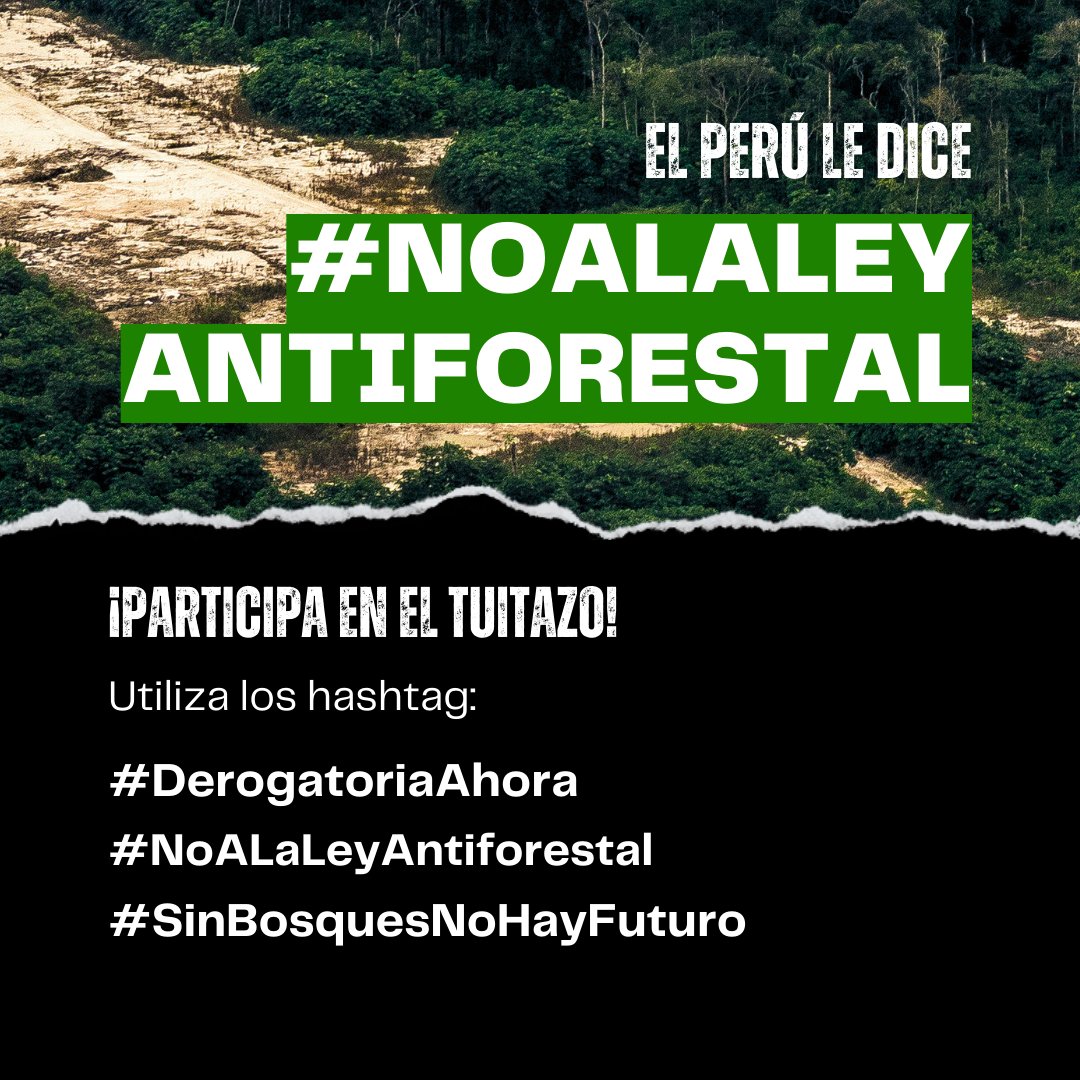 Le decimos al <a href="/congresoperu/">Congreso del Perú 🇵🇪</a>  #NoALaLeyAntiforestal. Como sociedad civil, no permitiremos que se destruyan nuestros bosques con impunidad. Exigimos #DerogatoriaAhora <a href="/elcomercio_peru/">El Comercio</a>  <a href="/larepublica_pe/">La República</a>