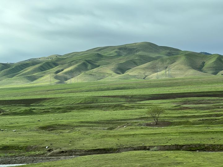 No, it’s not Wales, it’s California, unusually green. On our way to Phoenix. Gearing up for the release of In Sunshine Or In Shadow. See you at @poisonedpen on Saturday? And if you’d like me to sign a copy of the new Molly book, call the store ahead of Saturday!