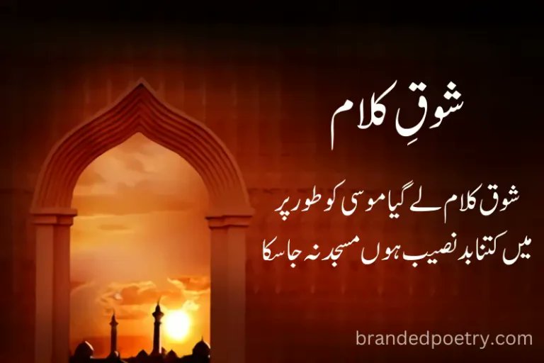 Assalam o alaikum
       &amp; &amp;
GOOD morning
<a href="/AsadAbbas776196/">Asad abbas</a> <a href="/KafaitK88095/">Kafait Khan</a>
@Malik45279
<a href="/Armilakhan/">Armila khan</a>
@Sania8938687257
<a href="/SarfrazM6570/">Mir Sarfraz سندھی ہون یار</a>
@2az1ra
<a href="/atitus7/">Alex Titus</a>
@Sania8938687257
<a href="/Rehana2092/">Rehana</a>