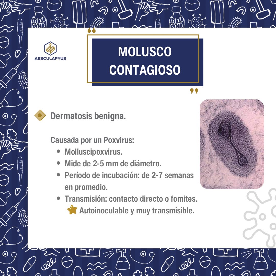 Aesculapyus_MD's tweet photo. Repasemos para el ENARM 2024: Molusco contagioso #ENARM #MIR https://t.co/vwxtiGrsru