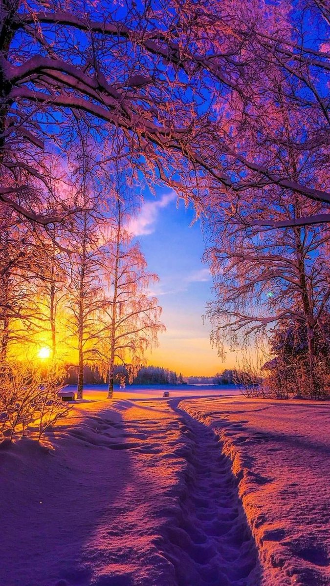 AnneScottlin's tweet photo. ❦Finding clarity is simply a choice-the decision to courageously enter the most inner sanctum of our heart and there be utterly honest with ourselves.~Anne Scottlin  
#WritingCommunity #courage #clarity #LiveForJoy #book https://t.co/c0FibfJWNC https://t.co/9aJ3XLJx1p