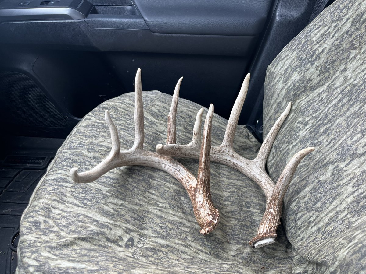 Two good ones this morning! Learn something new every find! 

#shedrally #milesforpiles