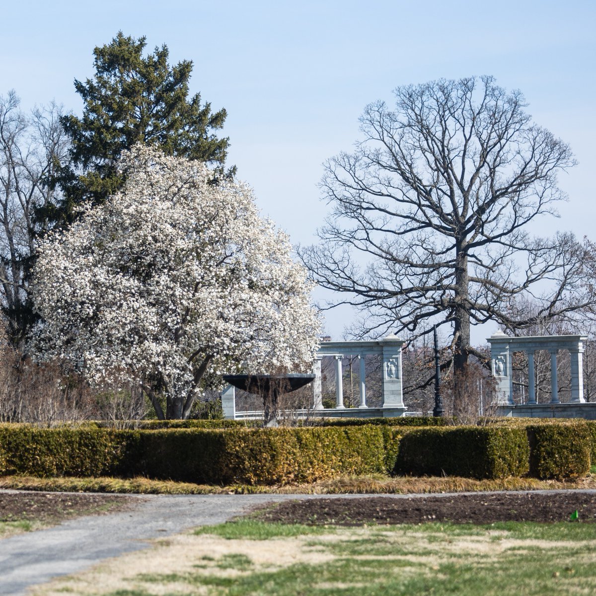 ForestPark4Ever's tweet photo. Forest Park is bursting with blooming trees. Come for a visit! 

#ForestPark4ever #ForestParkStL #ForestParkStLouis #ForestPark #ForestParkPic https://t.co/NzB6f7ICtp