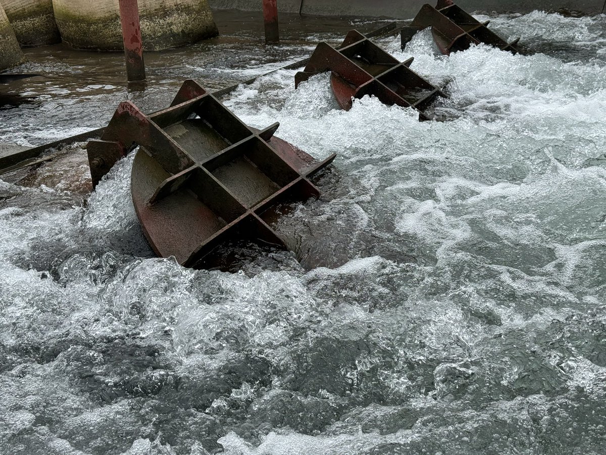 HydroTechVN's tweet image. Flap Valve #hydrotech