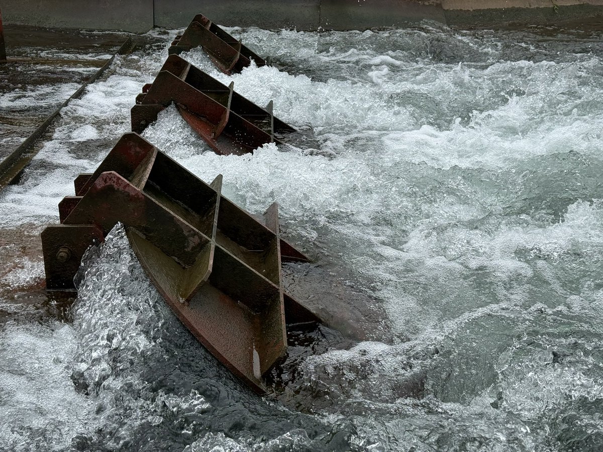 HydroTechVN's tweet image. Flap Valve #hydrotech