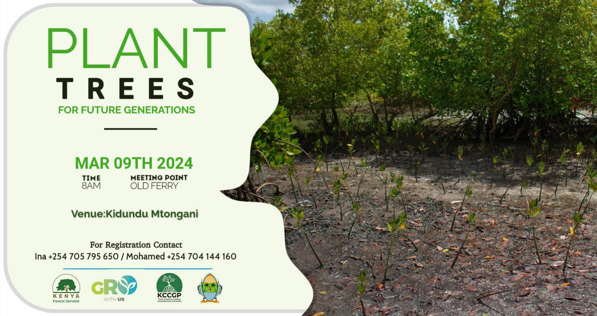 Mangrove planting at kidundu Mtongani. Restoration of the mangrove helps tackle biodiversity loss and protect endangered species of fauna and flora from extinction join us this Saturday and let’s plant #60MillionMangroves @Madaraka003 @kyom003 @Jijenge_Youth