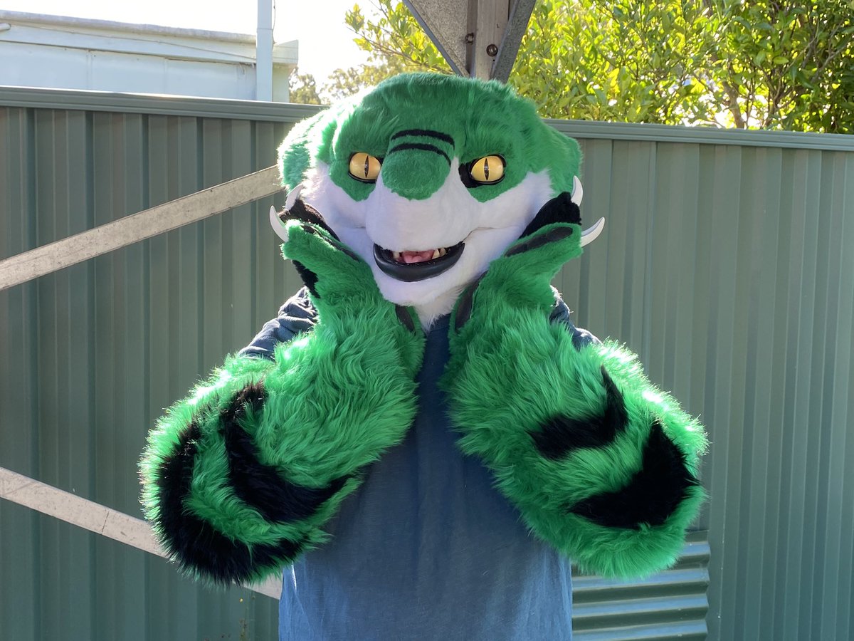 RevexSerg's tweet photo. Thanks so much to my Fursuit maker @DuskFlurrie  for my boi being made he looks absolutely amazing and I love him so much my sergal boi ahhhhhh!!! 
#fursuit #furry #sergal #furryfandom https://t.co/z5Yhk3yjV7