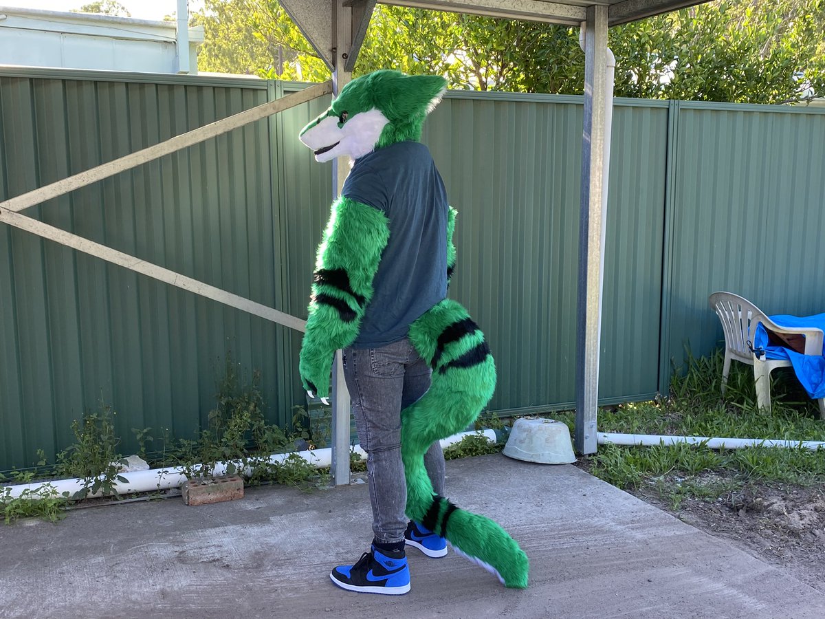 RevexSerg's tweet photo. Thanks so much to my Fursuit maker @DuskFlurrie  for my boi being made he looks absolutely amazing and I love him so much my sergal boi ahhhhhh!!! 
#fursuit #furry #sergal #furryfandom https://t.co/z5Yhk3yjV7