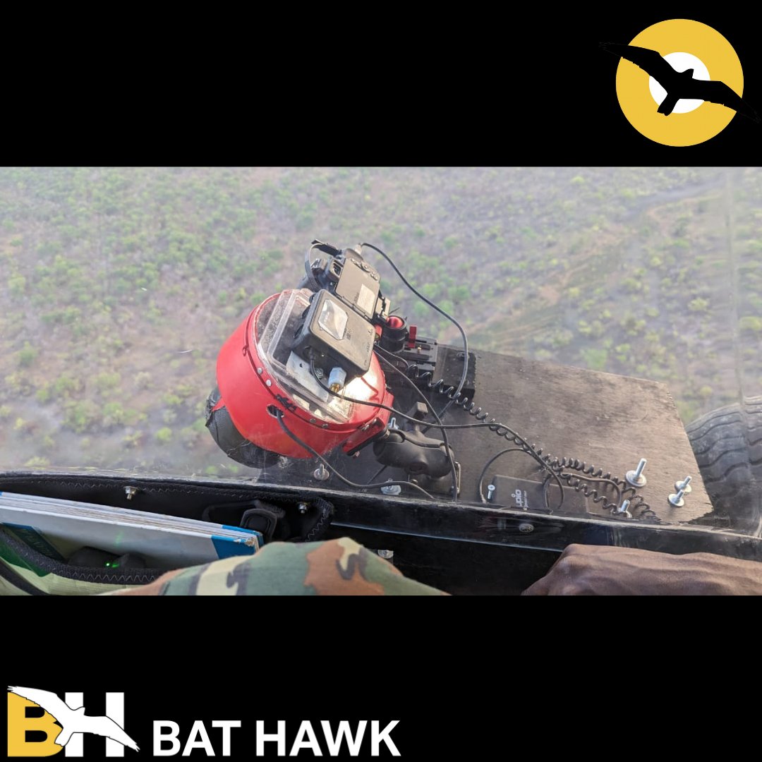 bat_hawk's tweet photo. Great conservation work is being done up in the Ivory Coast utilizing the Bat Hawk. 

Check out these cool photos of Alexis and his team roughing it up on the West Coast of Africa. https://t.co/HEQwDhY2lW