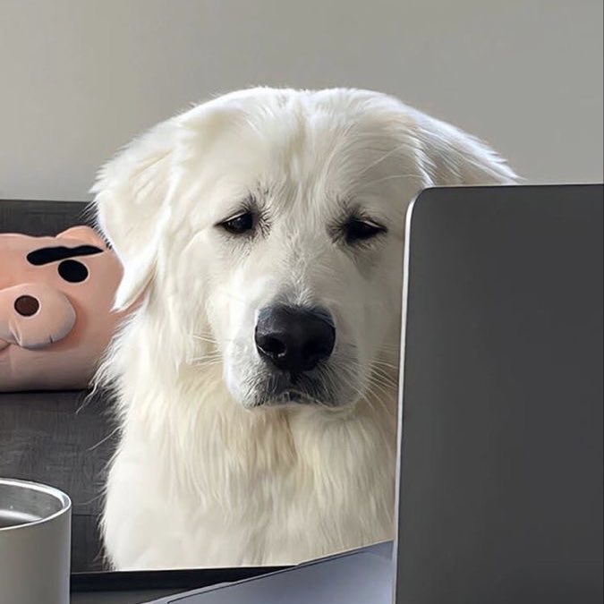 mood : เพิ่งต้นเดือนแต่กุใช้เงินหมดแล้ว