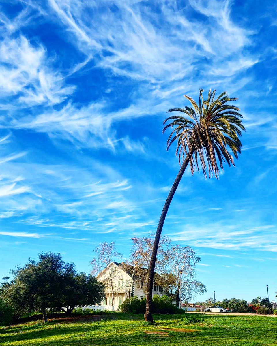 RuvalcabaAurora's tweet image. #oldtown #sandiego #visitsandiego #Thephotohour #zenfolio #canon_usa #500px #magnunphotos #photooftheday #photograghy #nature #amazingsky #PhotographyIsArt #gallery #fotografia #FOTOS