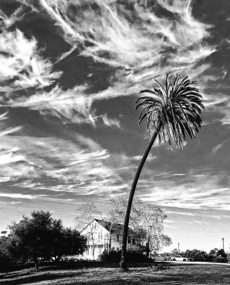 RuvalcabaAurora's tweet image. #oldtown #sandiego #visitsandiego #Thephotohour #zenfolio #canon_usa #500px #magnunphotos #photooftheday #photograghy #nature #amazingsky #PhotographyIsArt #gallery #fotografia #FOTOS