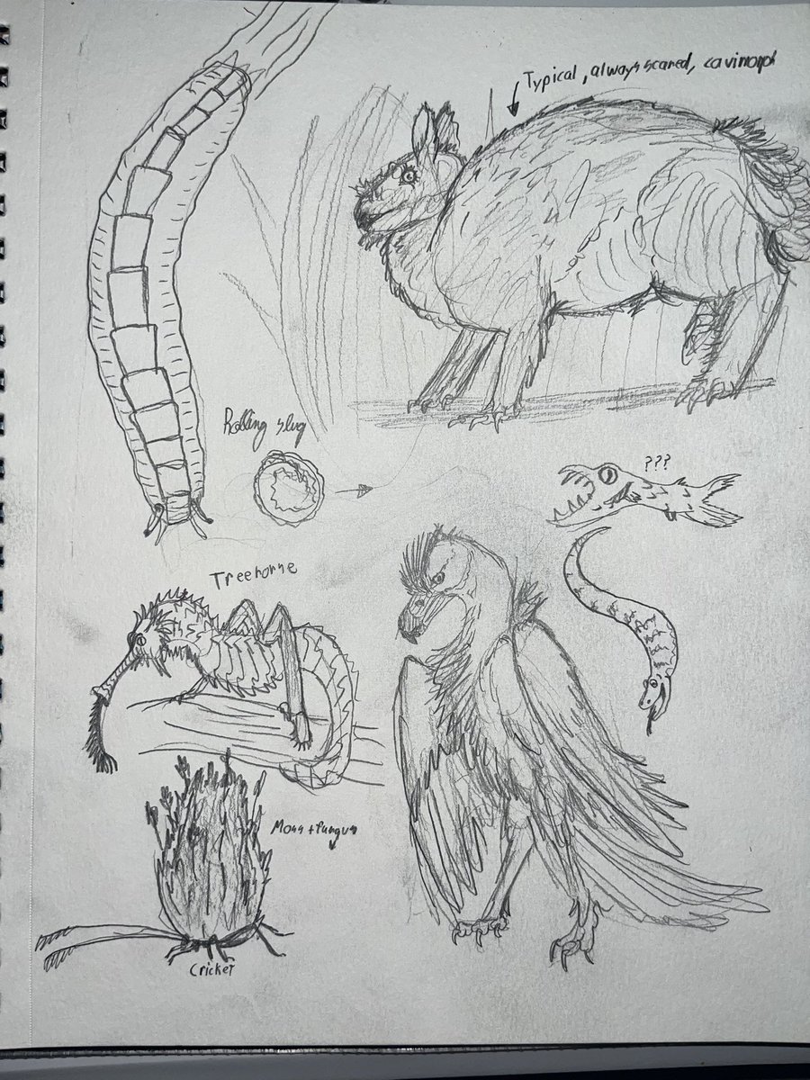 Sketches of perfectly normal organisms