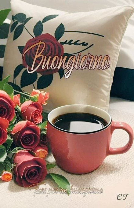 Buona giornata a Tutti 🌹😘🤗❤️