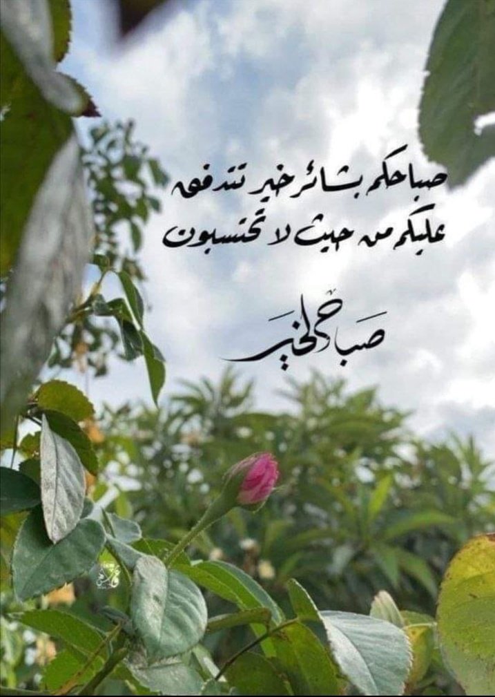 محمد ديب يعقوب tweet media
