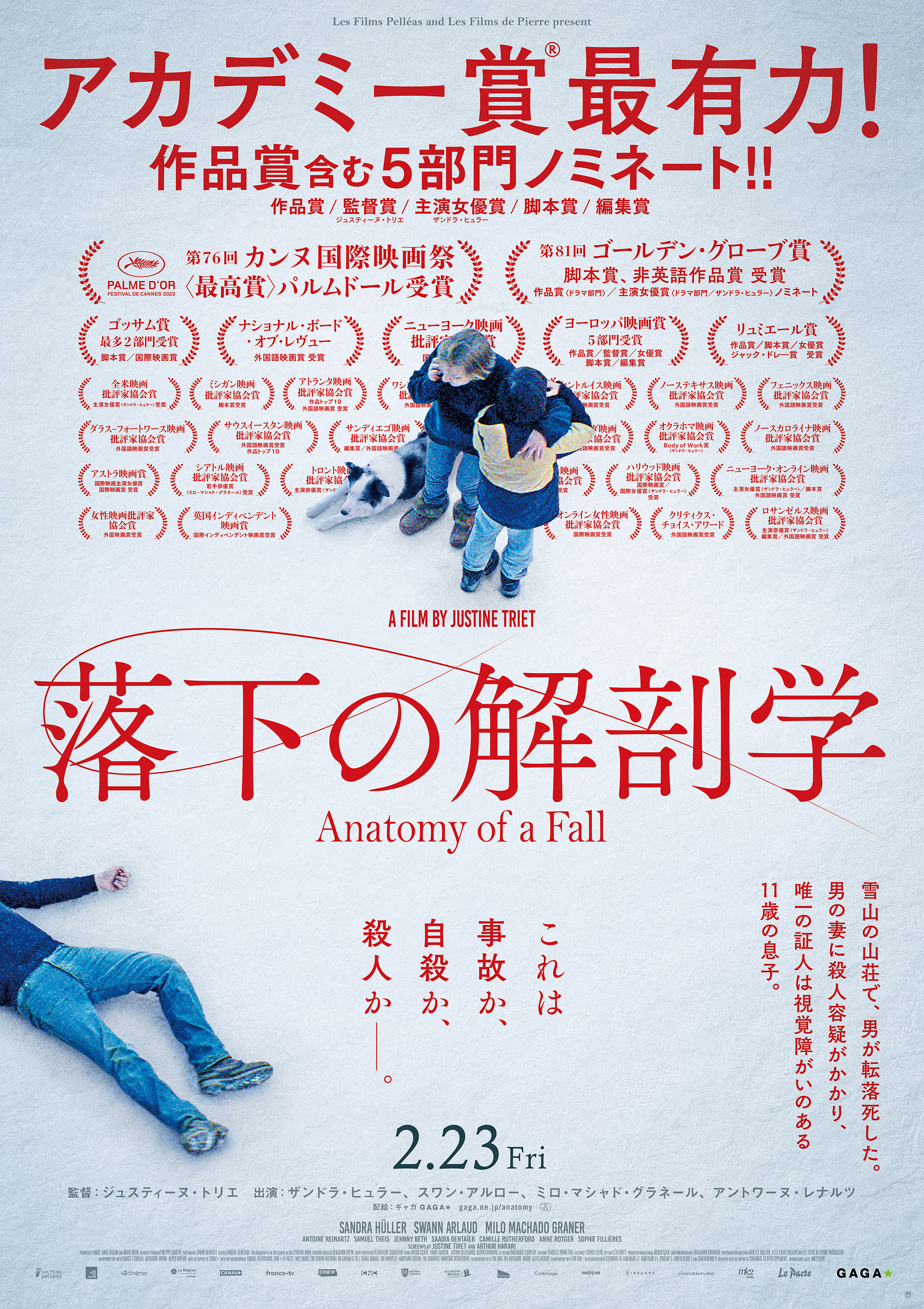 ２００ 落下の解剖学 フライヤー 200 落下の解剖学 フライヤー