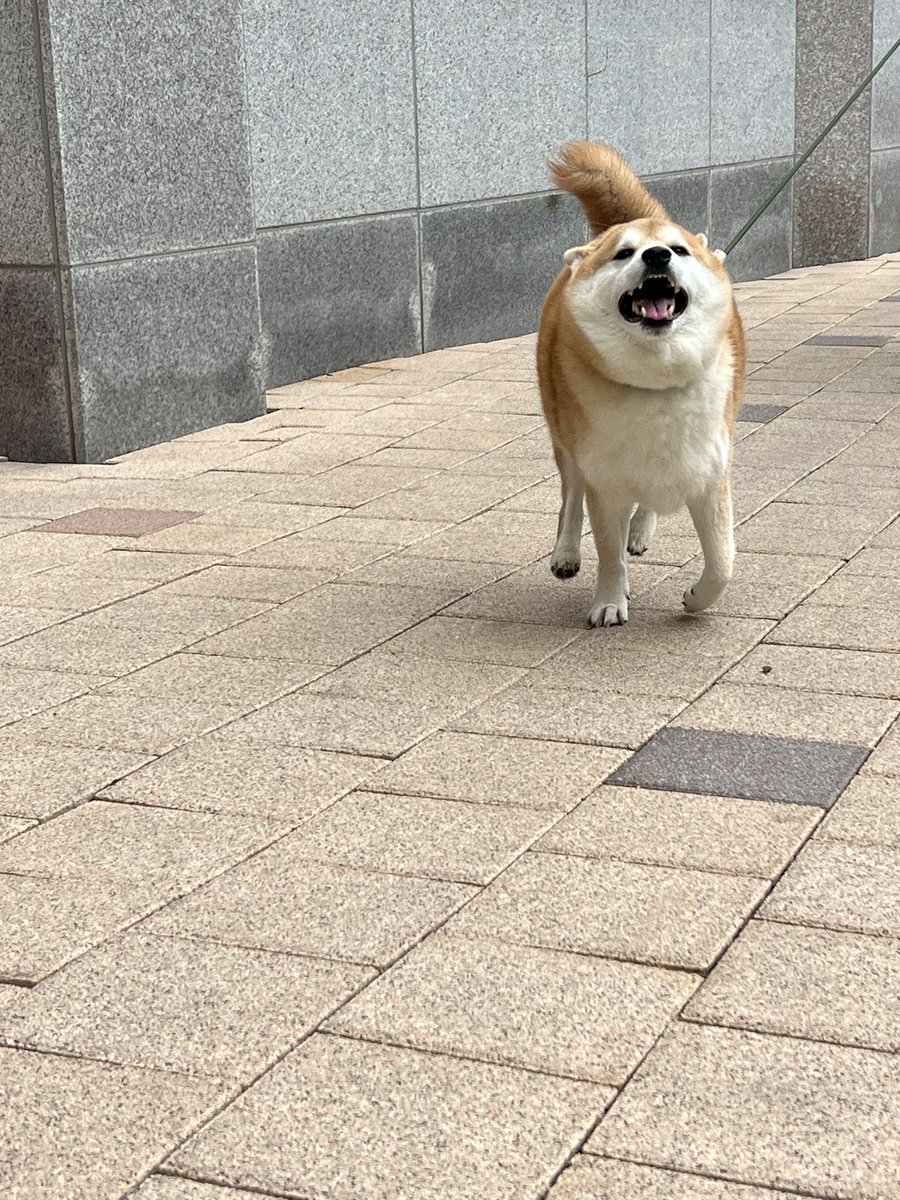 산책하다 만남
특 10분전에 집에서 봄