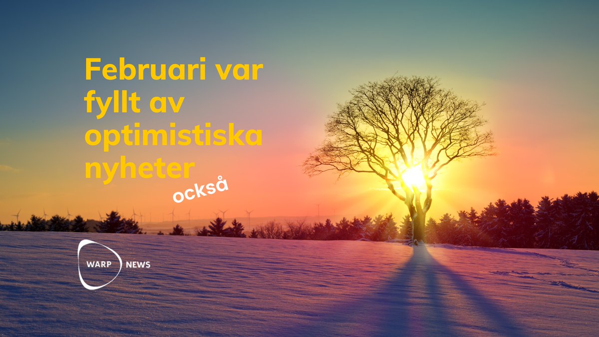 📈 Personer med Downs syndrom lever mer än dubbelt så länge idag. 

🦟 Kap Verde fritt från malaria.

⚡ Rekordminskning av utsläpp från EU:s energisektor.
 
🌚 Ett privat företag lyckas landa på månen för första gången.

🌲 Från förlust till återhämtning: Skogarna växer igen

🌊